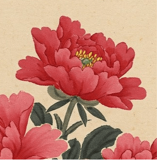 Imperial Peony – Fine Art Print & Framed Artwork - BoKy Atelier