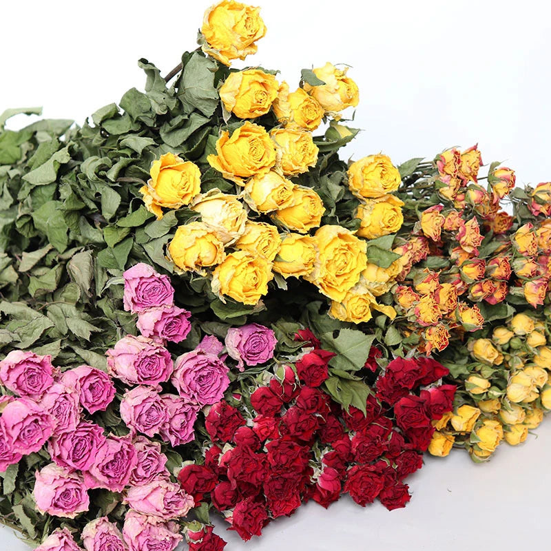 30pcs Natural rosas Bouquet Dried Fresh Eternell Rose Floral Preserved