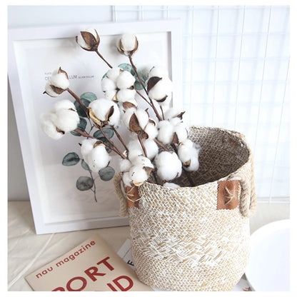 Naturally Dried Cotton Cheap Artificial Plants Floral Branch Vases