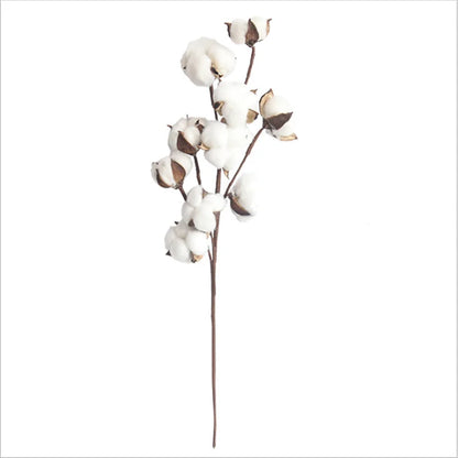 Naturally Dried Cotton Cheap Artificial Plants Floral Branch Vases