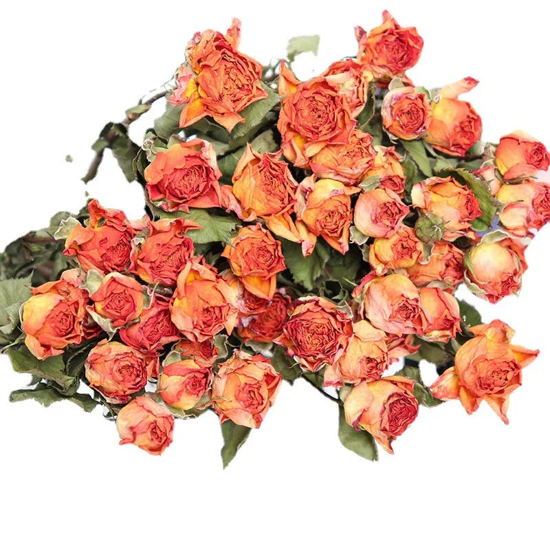 30pcs Natural rosas Bouquet Dried Fresh Eternell Rose Floral Preserved