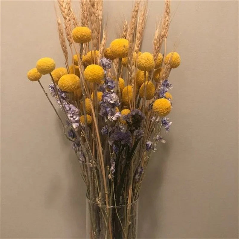 Dried Preserved Flowers Arrangements Vase Filler Dry Flower Bouquet