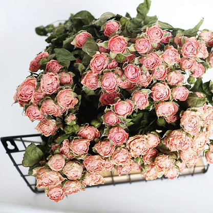 30pcs Natural rosas Bouquet Dried Fresh Eternell Rose Floral Preserved